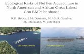 Ecological Risks of Net Pen Aquaculture in North American ... · ecological impacts 2) Strongest impact on surrounding environment was dense aggregation of wild fish in the exclusion