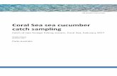 Coral Sea sea cucumber catch sampling - Parks Australia · 2018-08-16 · Coral Sea sea cucumber catch sampling | iii ... cucumber (beche-de-mer) in north east Australia has resulted