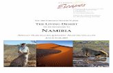 O AN ADVENTURE TO NAMIBIA - Wonderfully Wild · 2019-05-24 · 58-25 Queens Blvd., Woodside, NY 11377 T: (718) 280-5000; (800) 627-1244 F: (718) 204-4726 E: info@classicescapes.com