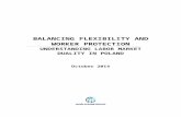 BALANCING FLEXIBILITY AND WORKER PROTECTIONdocuments.worldbank.org/curated/en/7562414681883… · Web viewlimited mobility across contract typologies. Insights from qualitative evidence