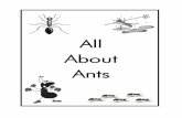 All About Ants - Easy Peasy All-in-One Homeschool · Types of Ants Cut out each piece and stack them in size order (cover on top, longest piece on bottom). Fill in each piece with