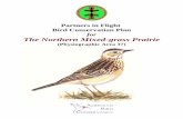 Partners in Flight Bird Conservation Plan for The Northern Mixed … · 2019-12-11 · Partners in Flight Bird Conservation Plan for The Northern Mixed-grass Prairie (Physiographic