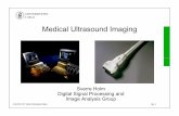 Medical Ultrasound Imaggging€¦ · Ultrasound instruments 3. Main principles 4. Imaging modes 5. Probe types and image formats 6. Bioeffects and safety 7. Emerging technology INSTITUTT