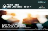 What do graduates do? · systems designers / Programmers and software development professionals / Web design and development professionals / IT technicians / Other IT and telecommunications