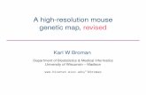 A high-resolution mouse genetic map, revisedkbroman/posters/mscbbposter08.pdf2 Shifman et al. maps Shifman et al. (2006) constructed a high-resolution genetic map of the mouse genome.