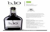 PUGLIA ORGANIC WINE PRIMITIVO - Bpuntoio Green Evolution ORGANIC WINE After destemming, Primitivo grapes