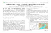 Morphological Change Analysis of Exposed Ghoramara Island · erosional action of the coast of Sagar Island [2]. A research has been performed on space and time related changes of