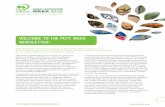 WElCOmE TO ThE PEFC WEEK NEWSlETTER! · milano 2015 PEFC-certified wood took center stage at the World Expo 2015 in Milan, as larch, spruce and fir all played their part in forming