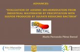 Evaluation of Arsenic bio-remediation from industrial ......Desulfosporosinus auripigmenti strain OREX-4 (NR_025551) Desulfosporosinus meridiei DSM 13257 (CP003629) Desulfosporosinus