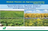 Quantiﬁ cation of Yield Gaps in Rain-fed Rice, Wheat ... · Citation: Aggarwal PK, Hebbar KB, Venugopalan MV, Rani S, Bala A, Biswal A and Wani SP. 2008. Quantiﬁ cation of Yield