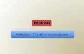 Meiosis& - Weebly · 2019-11-06 · •Eachsynapsisis madeupof2pairsof sisterchromads • Thismatchedsetof4 chromadsiscalleda& tetrad& MEIOSIS AND CROSSING OVER Chromosomes(are(matched(in(homologous