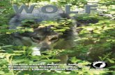 WOLF...W.O.L.F. Summer 2016 Mission: To improve the quality of life for wolves and wolf dogs through: Reproduction of materials from this publication is permitted provided that the