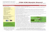 TPMPM W eely R epo rt - University Of Maryland · 2015-07-10 · TPMPM W eely R epo rt - Japanese beetles - Boxwood blight - Dutch elm disease - Euonymus scale - White prunicola scale
