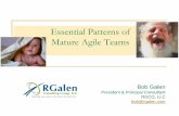Essential Patterns of Mature Agile Teams · their Self-directed Agile Teams Knowing when to say… Sometimes direction is required Putting on the hat of the observer; laying it on