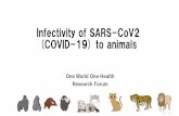Infectivity of SARS-CoV2 (COVID-19) to animals · 2020-05-21 · About SARS-CoV2 target for antiviral neutralizing antibodies [12]. S1 contains a re-ceptor-binding domain (RBD) that