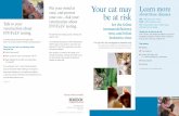 FIV/FeLV: Your cat may be at risk · your cat should be tested. Testing is an important * step toward keeping your cat healthy and helping to stop the spread of the feline immunodeficiency