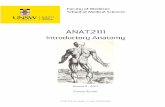 ANAT2111 Introductory Anatomy · ANAT2111 Introductory Anatomy – Semester 2, 2017 naked eye) and which can be palpated (touched), while microanatomy is sometimes used to refer to