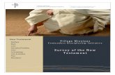 New Testament - Contenders Discipleship Initiative€¦ · Contenders Discipleship Initiative – New Testament Survey Village Missions © 2016 3 Table of Contents New Testament .....