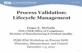 Process Validation: Lifecycle Management · quality product. Process validation involves a series of activities taking place over the lifecycle of the product and process. This guidance