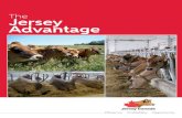 The Jersey Advantage · 2018-04-18 · The Jersey Advantage trends efficiency = profitability “No matter the scale or size of Canada’s dairy operation, a focus on operational