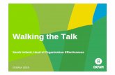 Walking the Talk - workplaceedi.com€¦ · Walking the Talk Sarah Ireland, Head of Organisation Effectiveness October 2016. OISP Expected Impact by 2019 Women’s rights have been