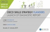 OECD SKILLS STRATEGY FLANDERS - Werk.be · 4 Skills matter for people’s well-being Source: OECD (2016), Skills Matter: Further Results from the Survey of Adult Skill. Differences
