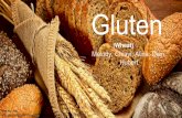 Gluten Gluten (Wheat) Melody, Chiayi, Alina, Dian, Hubert ... Gluten Disorders Gluten Allergy Alina