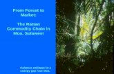 From Forest to Market: The Rattan Commodity Chain in Moa, … forest to... · 2017-11-14 · Rice fields (sawah) in Moa looking north into Lore Lindu N.P. where most rattan cane harvesting