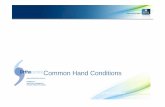 Common Hand Conditions JS - Excellence in sports injury management and joint ...orthocentre.com.au/wp-content/uploads/2018/09/Common... · 2019-03-19 · • Skier’s thumb • PIP