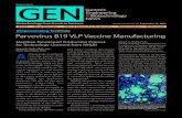 TechNote Parvovirus B19 VLP Vaccine Manufacturing B19 VLP Vacc… · virus-like particle (VLP) vaccine has been developed to prevent human parvovirus B19 (HPVB19) infection, which