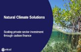 Natural Climate Solutions - World Business Council for ...€¦ · Natural Climate Solutions Scaling private sector investment through carbon finance. Session agenda 09.00-09.05: