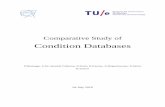 Comparative Study of - CERN Document Server study.pdf · regards to this comparative study we will focus on conditions databases in the field of particle physics. Particle physics