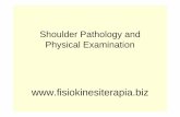 Shoulder Pathology and Physical Examination · – Osteoarthritis of GH joint – Osteoarthritis, instability, osteolysis of the AC joint – Ligament injuries – A.C. joint and