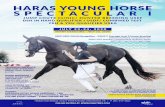 Opening Date: June 30, 2020 Closing Date: July 22, 2010 · 1 day ago · Opening Date: June 30, 2020 Closing Date: July 22, 2010 USEF/USDF/USHJA ... Competitors are encouraged to