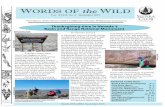 WORDS OF the WILD - Sierra Club...Words Of the Wild December 2015 Newsletter of the Sierra Club’s California/Nevada Wilderness Committee WORDS OF the WILD Vol. XVIII, No. 3 December
