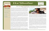 CONGREGATION Ha’Shofar€¦ · Prayer Corner is on hiatus and will resume in 2020 with the Torah Service. HA’SHOFAR PAGE 2. HA’SHOFAR PAGE 3 Social Action Volunteer ... Led