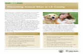 Preventing Animal Bites in LA Countypublichealth.lacounty.gov/.../2011LACAnimalBitesBrief.pdfAdults can also take steps to protect themselves from bites. Never play aggressive games