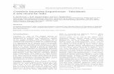 Crotalaria lanceolata (Leguminosae - Faboideae): A new ... · The authors are grateful to Shri Darshan Shankar, Vice Chancellor, TDU, Bangalore for providing facilities and support;