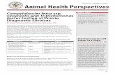 AUGUST 2015 • VOLUME 11 • ISSUE 3 Animal Health Perspectives proof.pdf · PRAIRIE DIAGNOSTIC SERVICES INC May 2012 vol. 008 issue. 02 Animal Health Perspectives AUGUST 2015 •