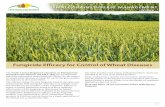 SMALL GRAINS DISEASE MANAGEMENT · 2020-05-26 · SMALL GRAINS DISEASE MANAGEMENT Fungicide Efficacy for Control of Wheat Diseases The North Central Regional Committee on Management