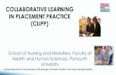 COLLABORATIVE LEARNING IN PLACEMENT PRACTICE (CLIPP) · COLLABORATIVE LEARNING IN PLACEMENT PRACTICE (CLIPP) School of Nursing and Midwifery, Faculty of Health and Human Sciences,