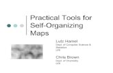 Practical Tools for Self-Organizing Maps learned results as a 2D map. T. Kohonen, Self-organizing maps,