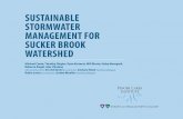 SUSTAINABLE STORMWATER MANAGEMENT FOR SUCKER …The report for the Sucker Brook watershed and stormwater wetlands in the Town of Canandaigua, NY is intended for the Town Board, municipal