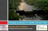 Managing Landscapes for Healthy Soils and Water...Mississippi Smart Landscapes. ... The easiest and best solution is to buy plants that perform well in clay soils. Do not use plants