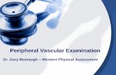 Peripheral Vascular Examinationwesternbiomed.weebly.com/uploads/1/5/4/7/15477822/... · system toward the heart •Muscles contract and blood is squeezed ... Based on examination