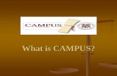 What is CAMPUS?a school counseling services initiative established in 2002 currently serving over 450 lcps students 106 graduating seniors in 2017 97 % of those graduating seniors