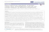 Gene expression signatures of breast cancer stem and progenitor … · 2017-04-10 · RESEARCH Open Access Gene expression signatures of breast cancer stem and progenitor cells do