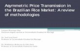 Asymmetric Price Transmission in the Brazilian Rice Market ... · The following lecture is intended to present and briefly ... Johansen cointegration test. The series are cointegrated
