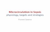 Microcirculation in Sepsis - indiachest.orgindiachest.org/.../uploads/2018/10/Microcirculation... · •Setting: ICU •Subjects: 25 normal volunteers and 25 patients with septic