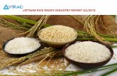 VIETNAM RICE-PADDY INDUSTRY REPORT Q2/2018 · Proportion value of rice-paddy industry contributing to Vietnam exports, 2010 –2017 Sources: VIRAC, GDVC Rice is the main export product